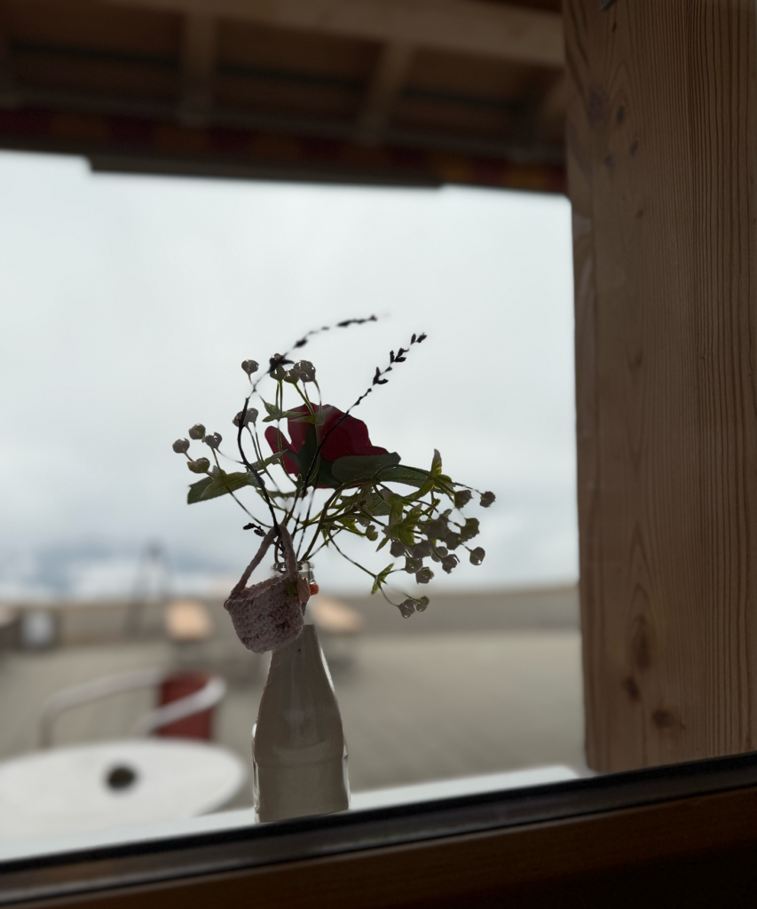 fenster blume
